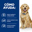 12 kg Hill's Prescription Diet Joint Care j/d Reduced Calorie Pollo pienso para perros, , large indicador imagen numero 4